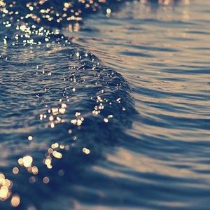 Meet your Posher, Halie